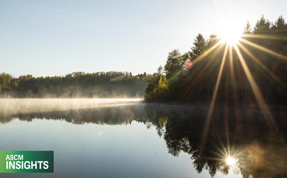 Sustainable Supply Chains Via the Circular Economy