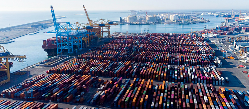 The Innovation Gap in European Supply Chains