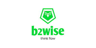 b2wise think flow