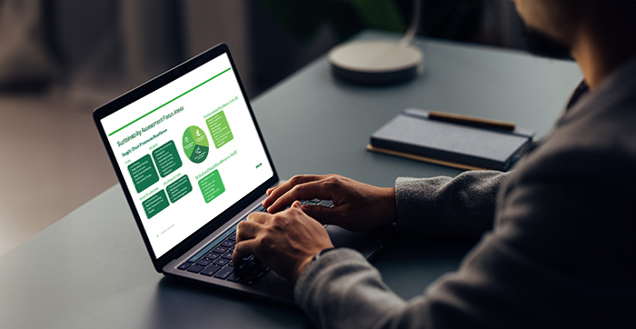 Sustainability Maturity Assessment 