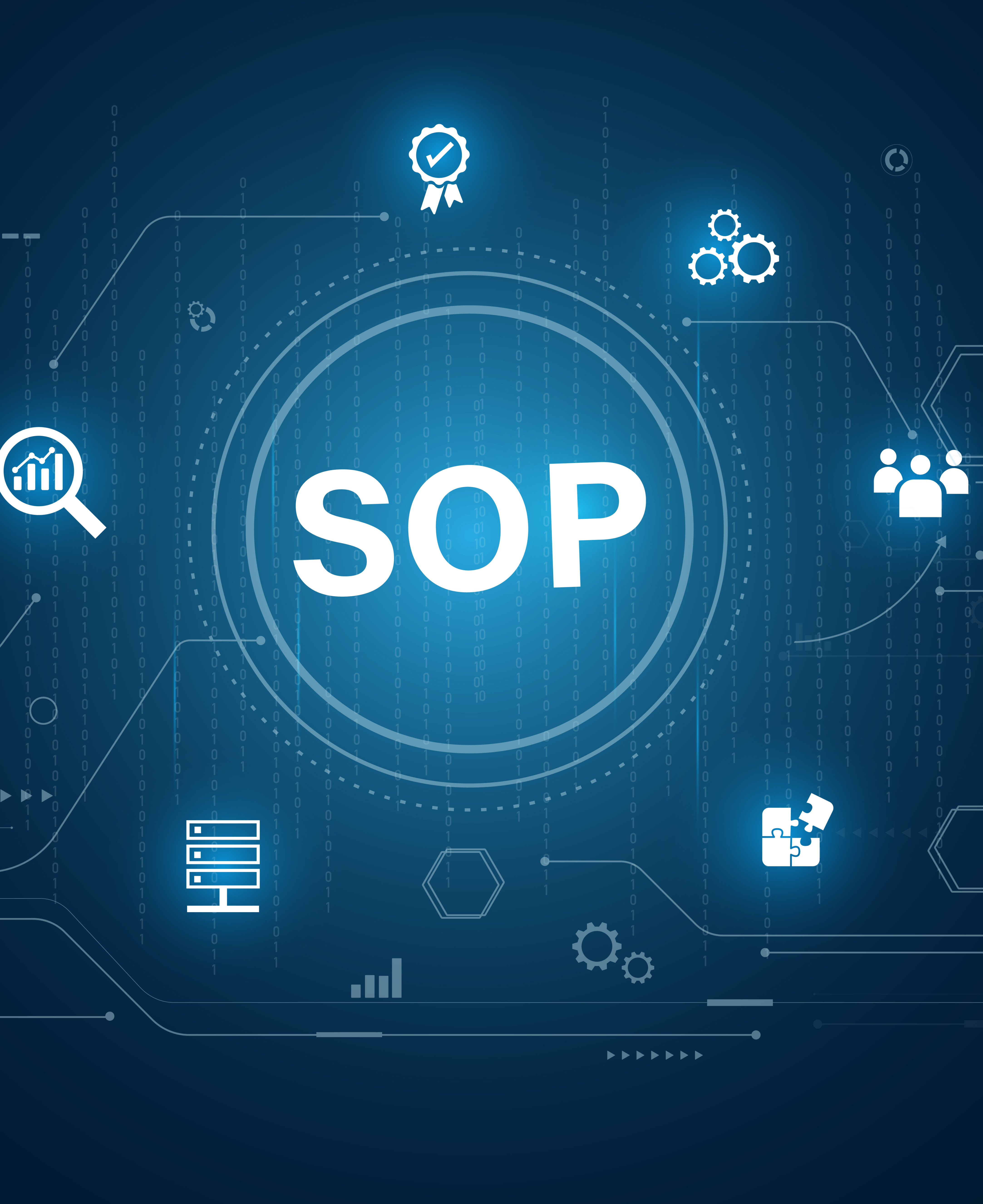S&OP from the Executive's Point of View