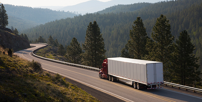 Transportation and Logistics Costs